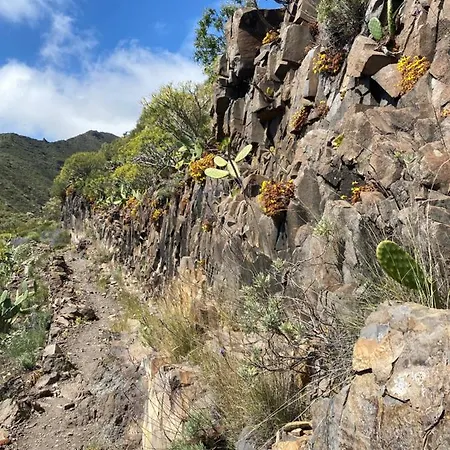 Amplio Duplex Appartamento Tamaimo