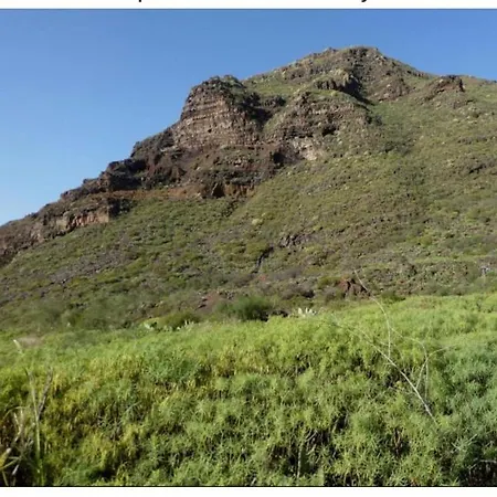 Amplio Duplex * Tamaimo